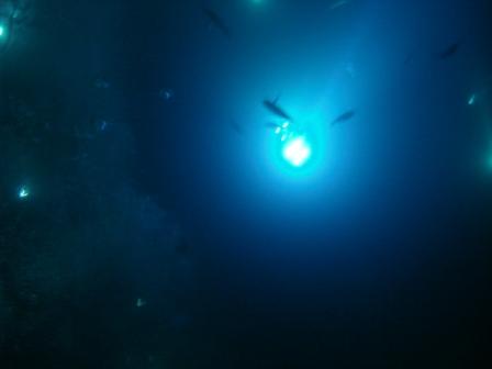Lights under the water